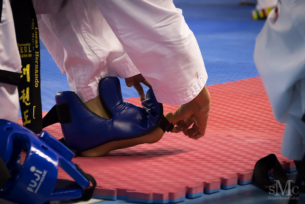 DIA DEL TAEKWONDO ABRIL 2017_3640.JPG